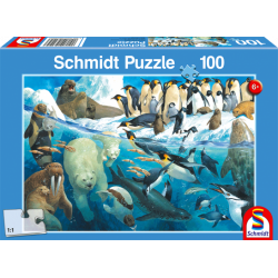 Puzzle 100 Piezas - Animales Polares