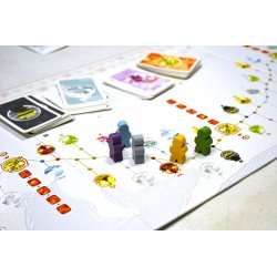 Componentes Juego de Mesa Tokaido