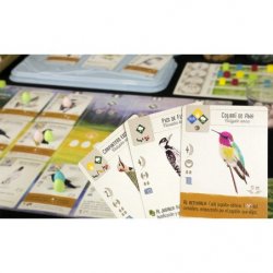 Componentes Juego de Mesa Wingspan