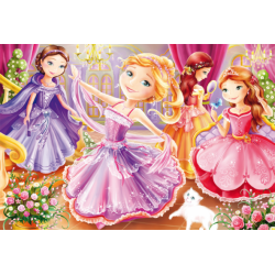 Componentes Puzzle 3 x 24 - Princesas