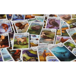 Componentes Juego de Mesa Cardline: Animales