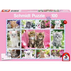 Puzzle 100 Piezas - Gatitos