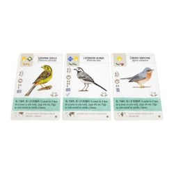 Componentes Juego de Mesa Wingspan Expansión Europa