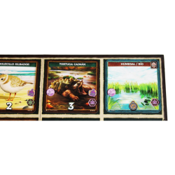 Cartas de juego de mesa Keystone NorteAmérica juegos en familia  con temática y arte de Ecología
