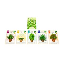 Cartas de plantas de interior del juego de mesa Verdant un juego de mesa en Familia con puzzles