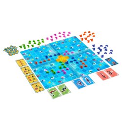 Tablero, cartas y meeples del Juego de Mesa Dragones Del Mar un  juego de estrategia de Fractal entrejuegos