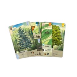 Cartas del Juego de mesa Forest Shuffle un juego de cartas ideal  para jugar de a dos