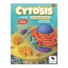 juego de mesa Cytosis de MasQueOca por MasterGames en tienda de juegos de mesa, juego para aprender