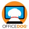 Office Dog