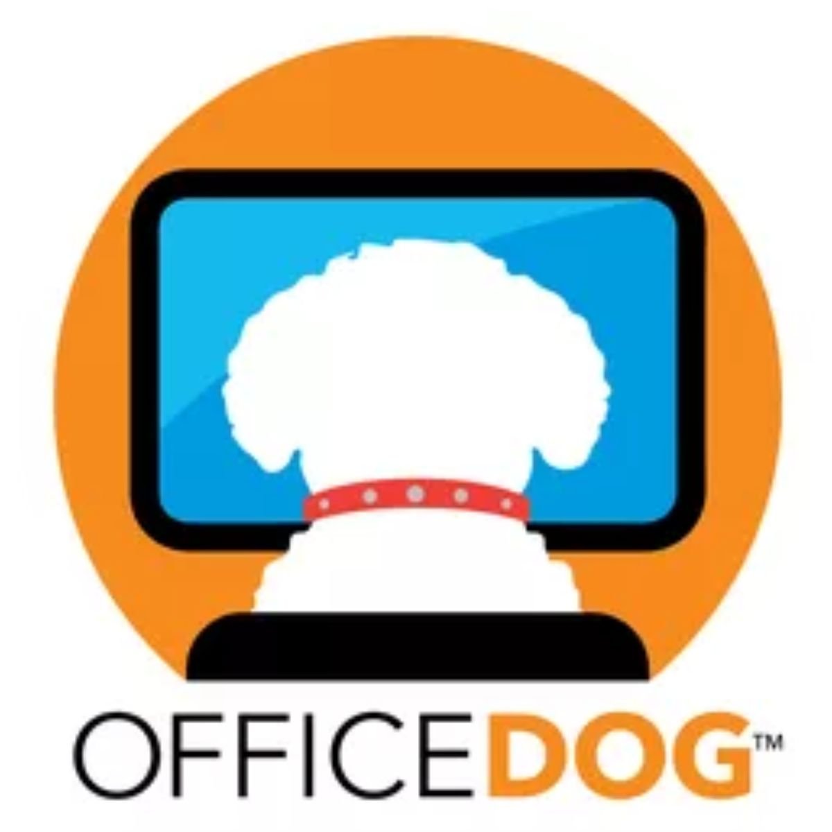 Office Dog